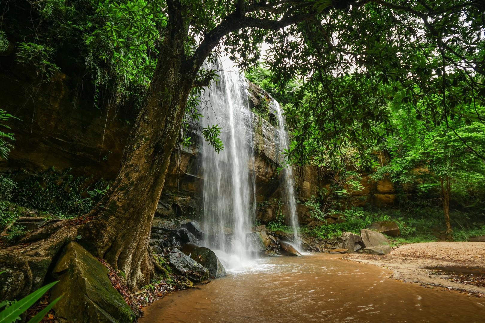 Wasserfall umgeben von grünem Dschungel, ideal für naturnahe Urlaubserlebnisse und Abenteuerreisen.