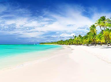 domrep___responsive_385_285.jpg